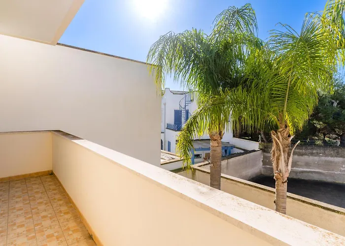 Bon Palm - Salento Selection