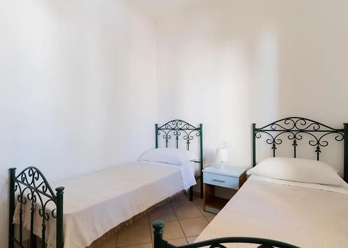 Bon Palm - Salento Selection