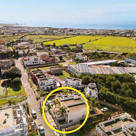 Bon Palm - Salento Selection * 托雷拉皮罗