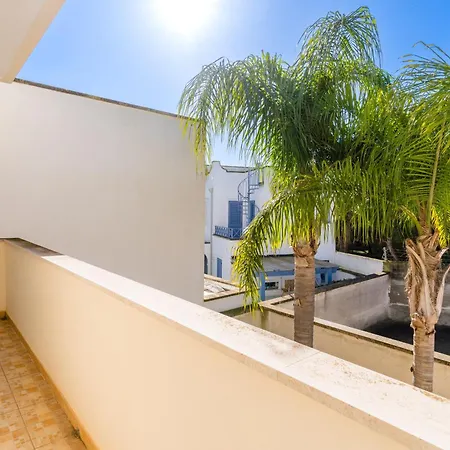 Bon Palm - Salento Selection