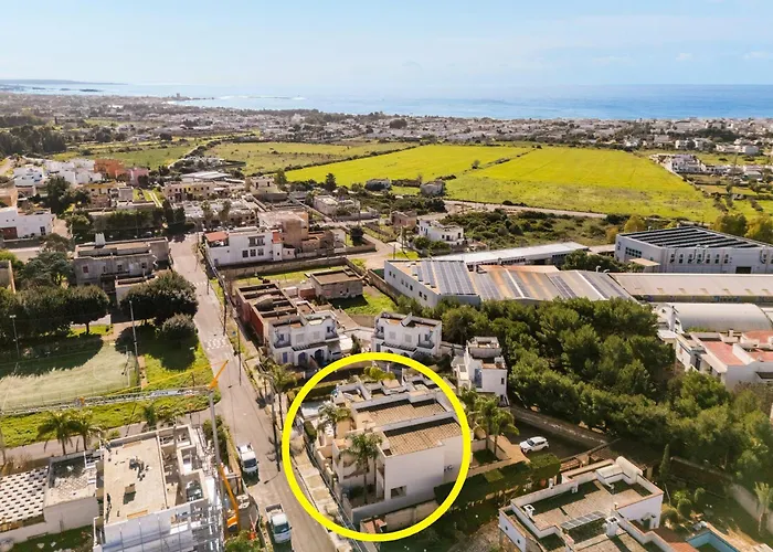 Bon Palm - Salento Selection * Torre Lapillo