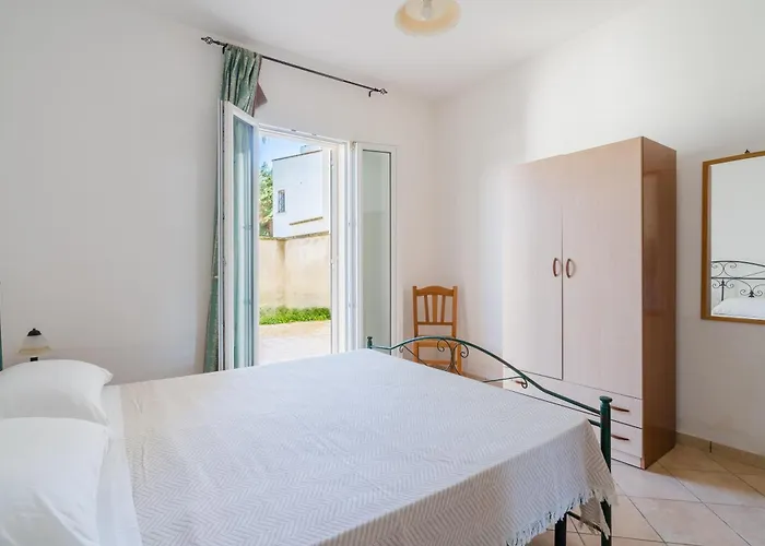 Bon Palm - Salento Selection