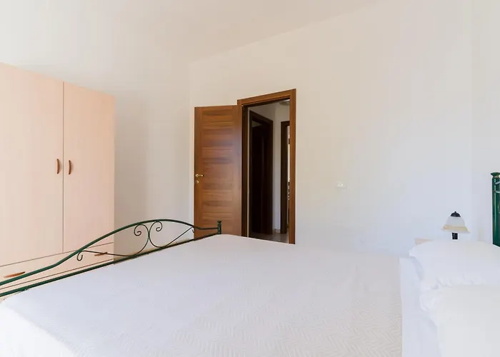 Bon Palm - Salento Selection *